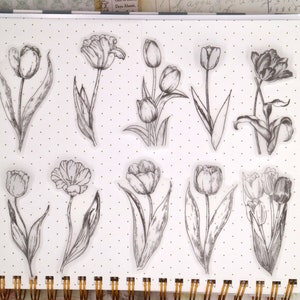 Vellum stickers tulpenbloemen | 20 stks/pak bloemenschets botanische velijnstickers