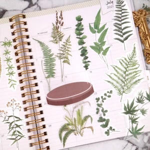Fern PET stickers | 20pcs/pack fern botanical PET stickers M02 fern stickers