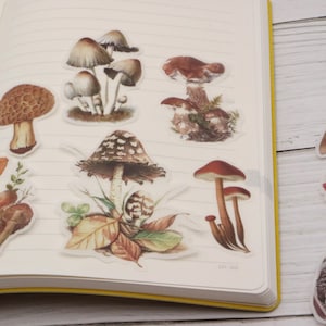 Mushroom Washi stickers | 60pcs mushroom plant Themed nature  washi paper stickers, Die Cut Stickers