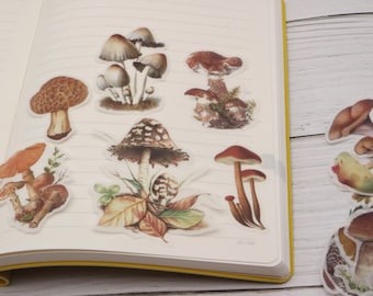 May include: A sheet of colorful mushroom stickers with various designs, including a cluster of mushrooms with brown caps, a single mushroom with a white cap and brown spots, and a mushroom with a brown cap and a white stem.