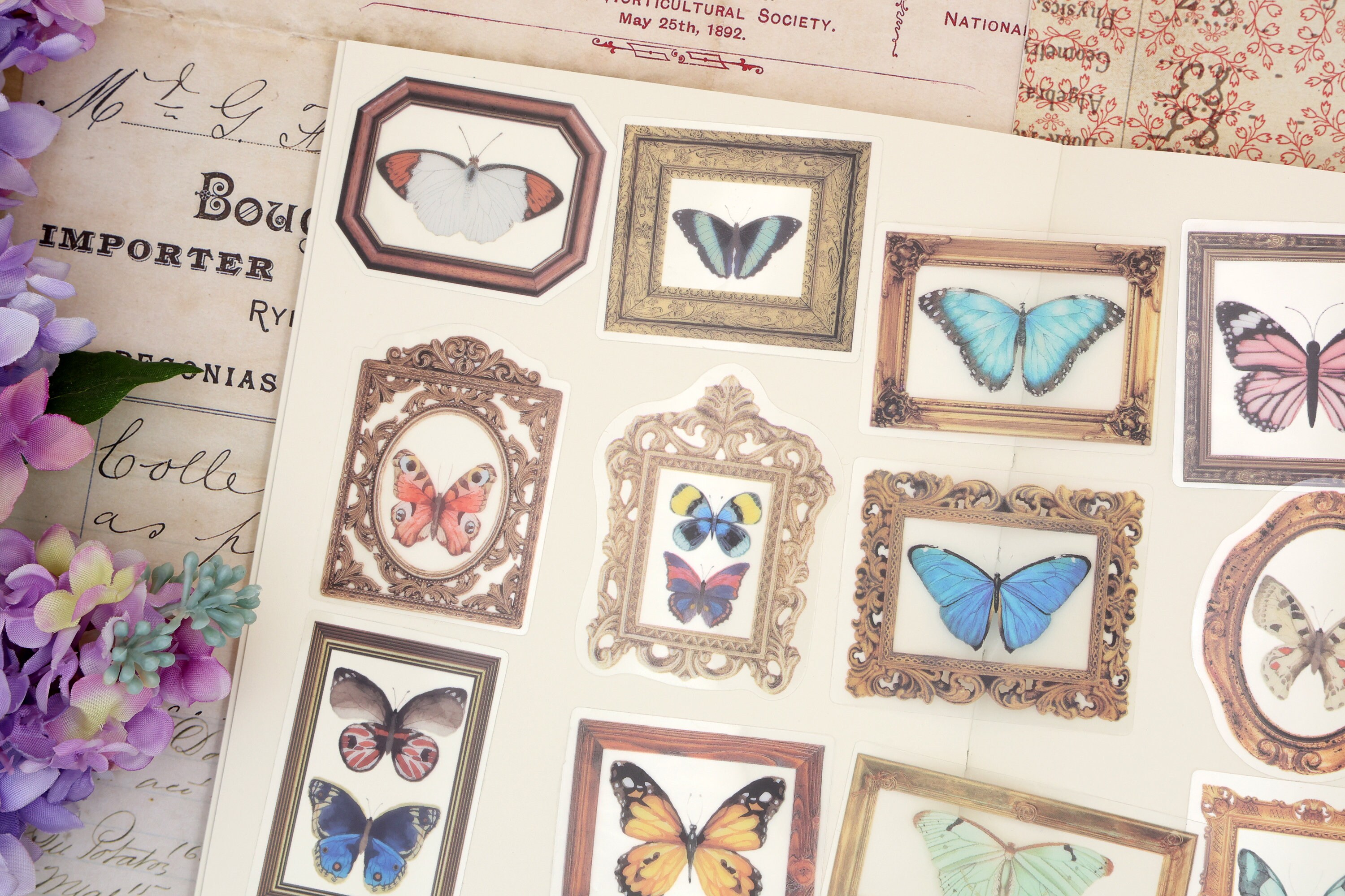 Butterfly PET Stickers | 40pcs/pack Butterly Nature Specimen PET ...