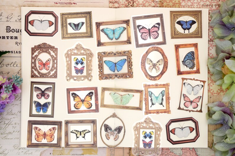 Butterfly PET Stickers | 40pcs/pack Butterly Nature Specimen PET ...