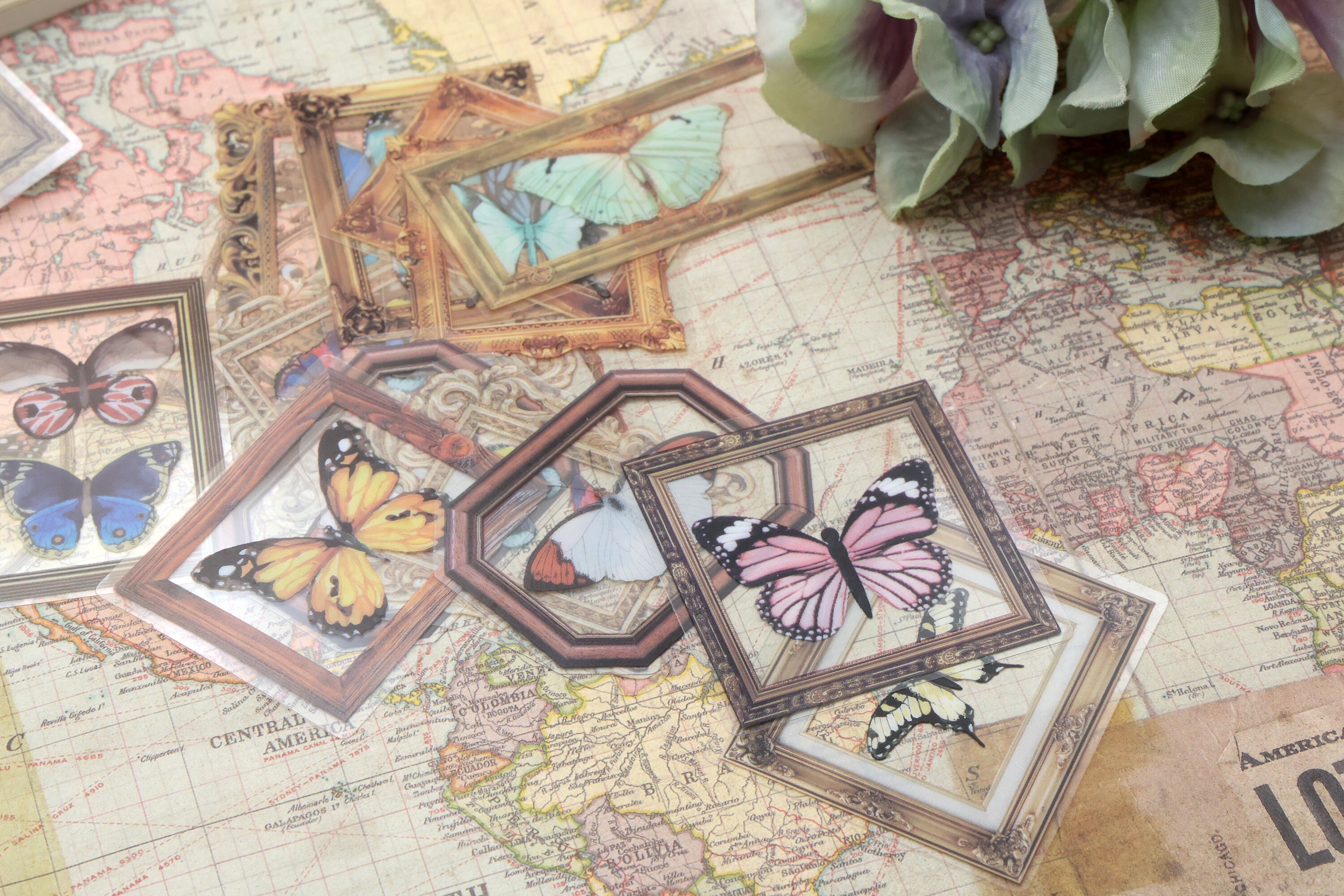 Butterfly PET Stickers | 40pcs/pack Butterly Nature Specimen PET ...