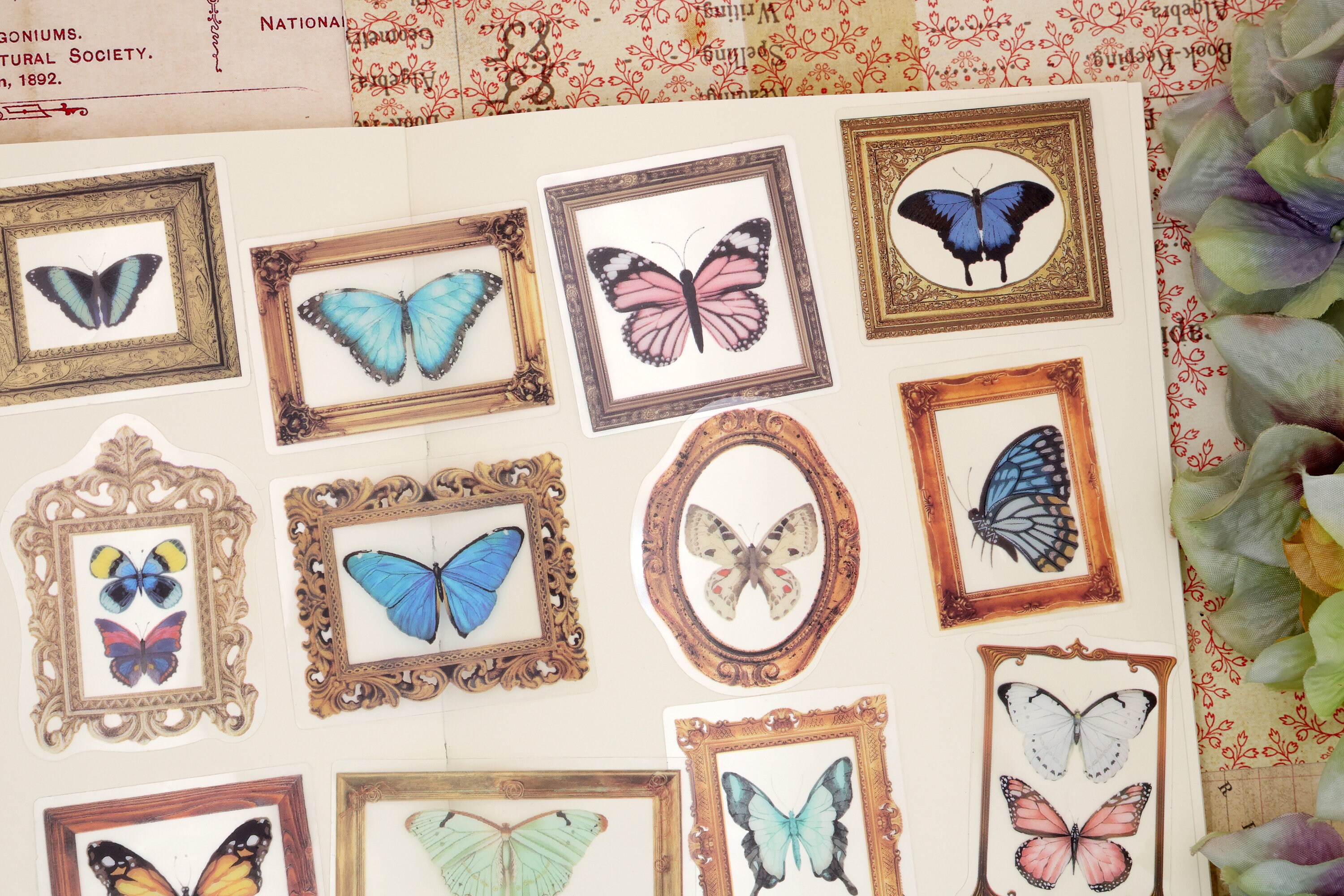 Butterfly PET Stickers | 40pcs/pack Butterly Nature Specimen PET ...
