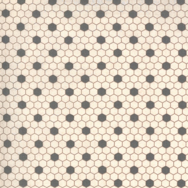 BOUDOIR by Basic Grey - 30655-21 Parlor Hexi Pale Roebuck - 1/2 Yard Increments, Cut Continuously