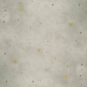 Ombre Flurries di V and Co. per Moda Fabrics - 108741-404MG Putty - Incrementi di 1/2 iarda, taglio continuo