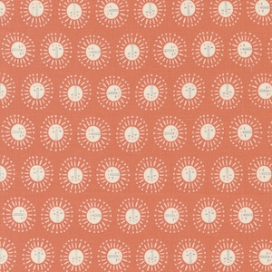 Noahs Ark: Hope in Coral Noahs Ark: Hope in Coral