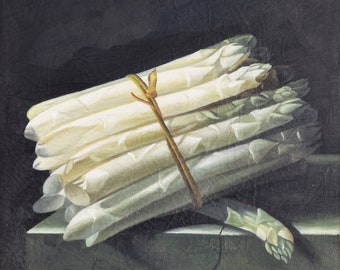 COORTE ADRIAEN - "Asparagus" Still Life - Oil painting reproduction - Craquelé - Hand made