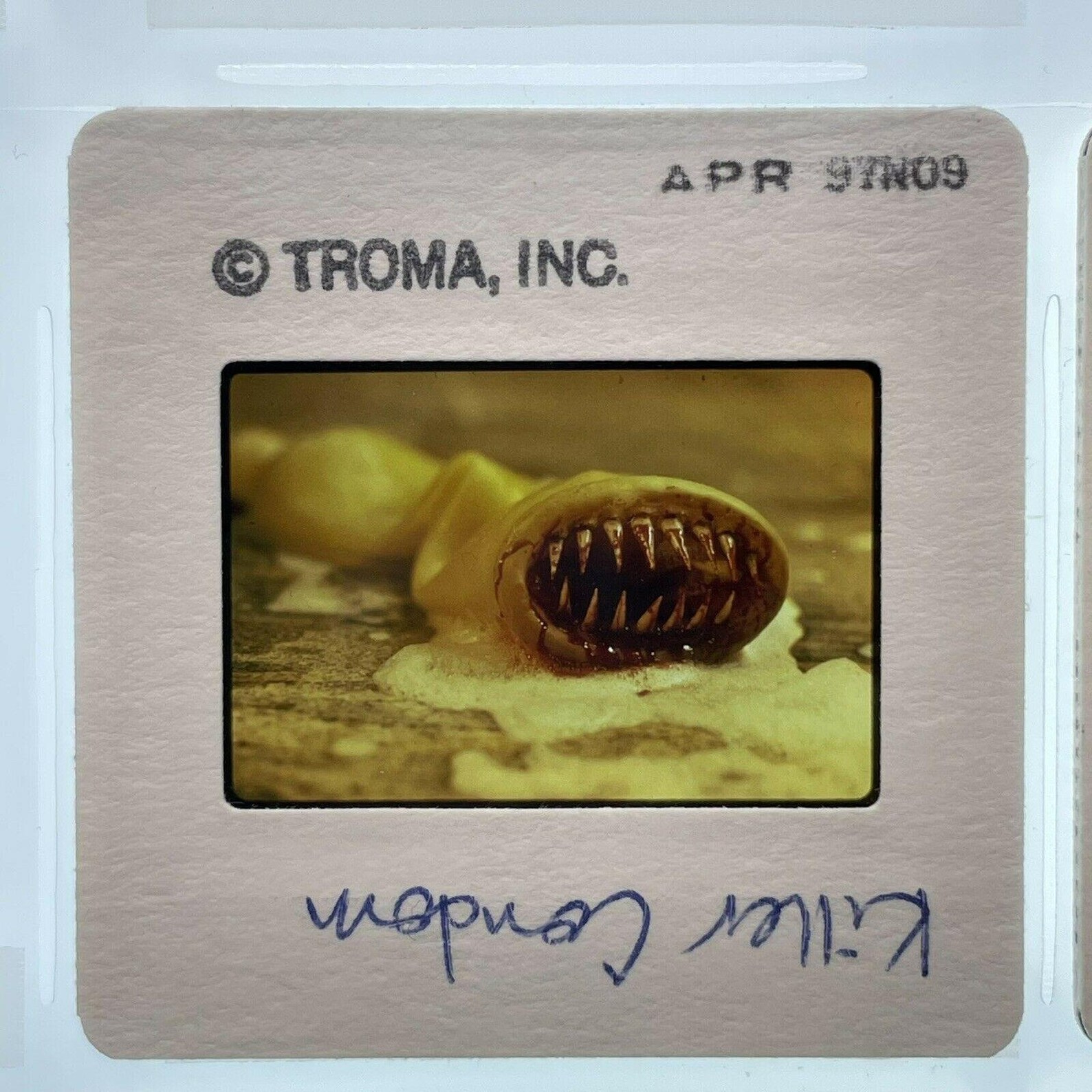 Killer Condom Horror Movie 35mm Slides Publicity Promotion Lot Etsy