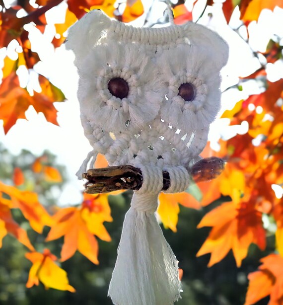 Owls, Boho White Owl Wall Decor, Macrame Owl, Bohemian Owl Home Decor, Owl Wall Hanging, Owl Decor, Housewarming Gifts