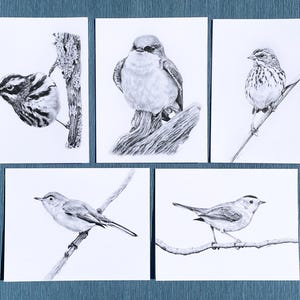 Cartes de correspondance Oiseaux - Édition 2021
