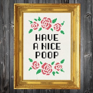 Könnte beinhalten: Ein gerahmtes Kreuzstichbild mit weißem Hintergrund und goldenem Rahmen. Der Kreuzstich zeigt ein florales Design mit rosa Rosen und grünen Blättern. Der Text "HAVE A NICE POOP" ist in schwarzen Buchstaben geschrieben.