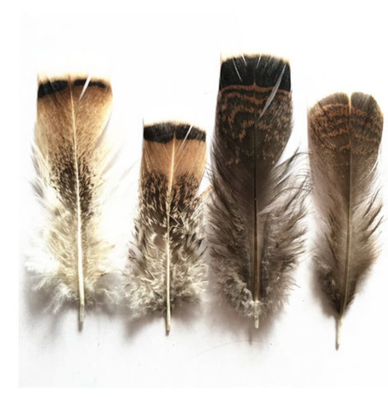 Wholesale 100PcsLot Turkey Pheasant Plumage Eagle Feathers 10-15cm4-6inch Pheasant Feathers for Crafts Carnival Plumas Plumes