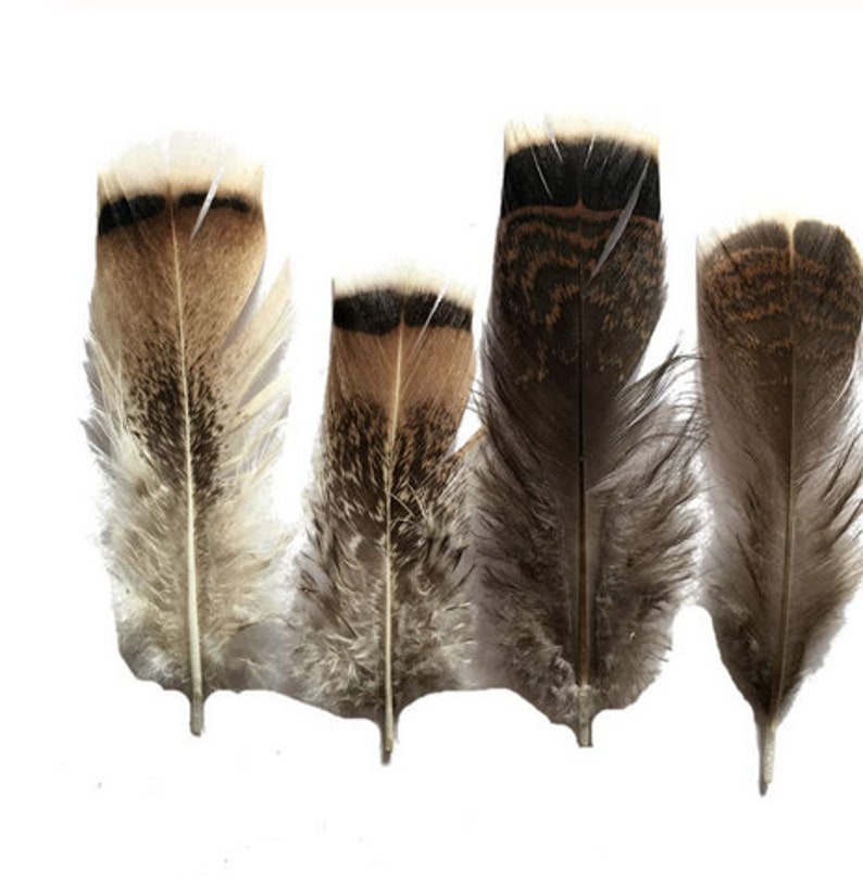 Wholesale 100PcsLot Turkey Pheasant Plumage Eagle Feathers 10-15cm4-6inch Pheasant Feathers for Crafts Carnival Plumas Plumes