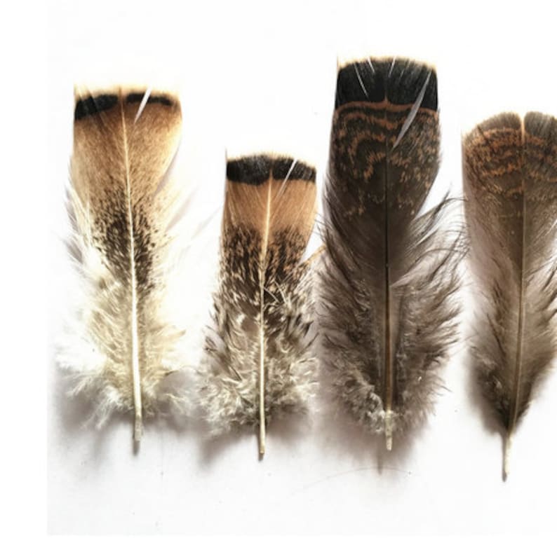 Wholesale 100PcsLot Turkey Pheasant Plumage Eagle Feathers 10-15cm4-6inch Pheasant Feathers for Crafts Carnival Plumas Plumes