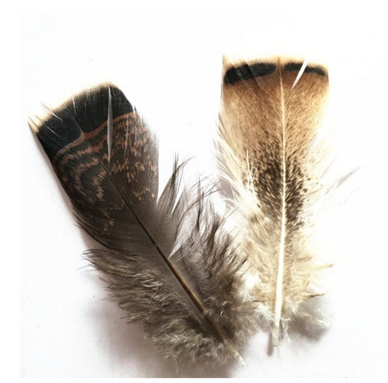 Wholesale 100PcsLot Turkey Pheasant Plumage Eagle Feathers 10-15cm4-6inch Pheasant Feathers for Crafts Carnival Plumas Plumes