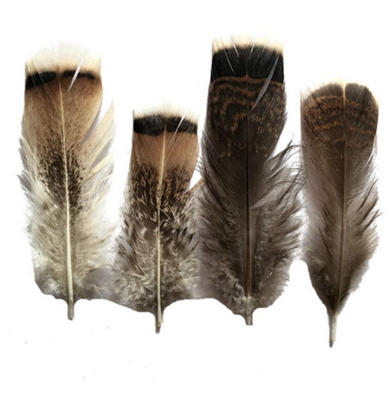 Wholesale 100PcsLot Turkey Pheasant Plumage Eagle Feathers 10-15cm4-6inch Pheasant Feathers for Crafts Carnival Plumas Plumes