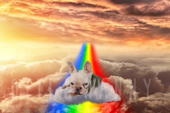 Rainbow Bridge Pet Dog Or Cat Memorial Digital Backdrop Etsy