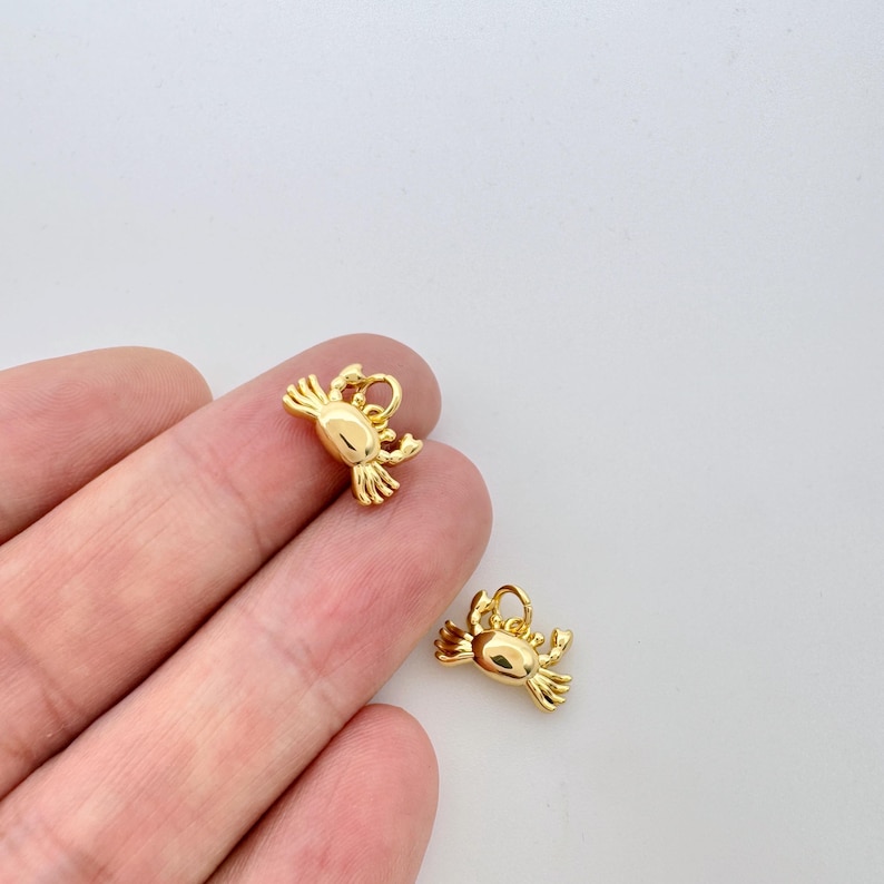 May include: Two gold-colored crab charms with a loop for attaching to jewelry or other crafts.