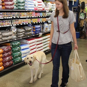 3/4" Wide BioThane® Deluxe Multifunctional Handsfree Made With Beta Heavy BioThane® Cross Body, Around Waist, Long/Short Leash, Leather Feel