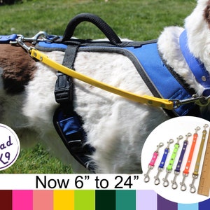 HARNESS to COLLAR Safety Strap / Double Clip Line 6" - 24"  Made With 1/2" Beta BioThane®