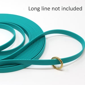 May include: Teal blue dog leash with a gold metal ring and two brass snaps.  Long line not included.