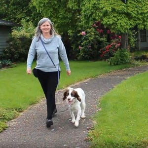 May include: A woman in a grey sweater walks a white and brown dog on a leash. The dog is looking at the camera.