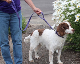 3/4" Wide BioThane® Deluxe Leash  with Built-in Traffic Handle Made With Beta Heavy BioThane®