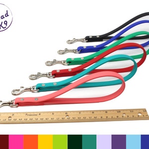 May include: Six colorful dog leashes with silver swivel clips. The leashes are made of a rubber-like material and are available in black, blue, green, red, teal, and pink. The leashes are laid out in a staggered pattern with the longest leash at the bottom and the shortest leash at the top. A ruler is visible at the bottom of the image.