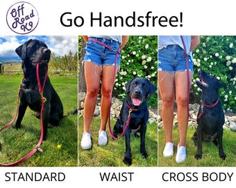 walking dog leash around waist