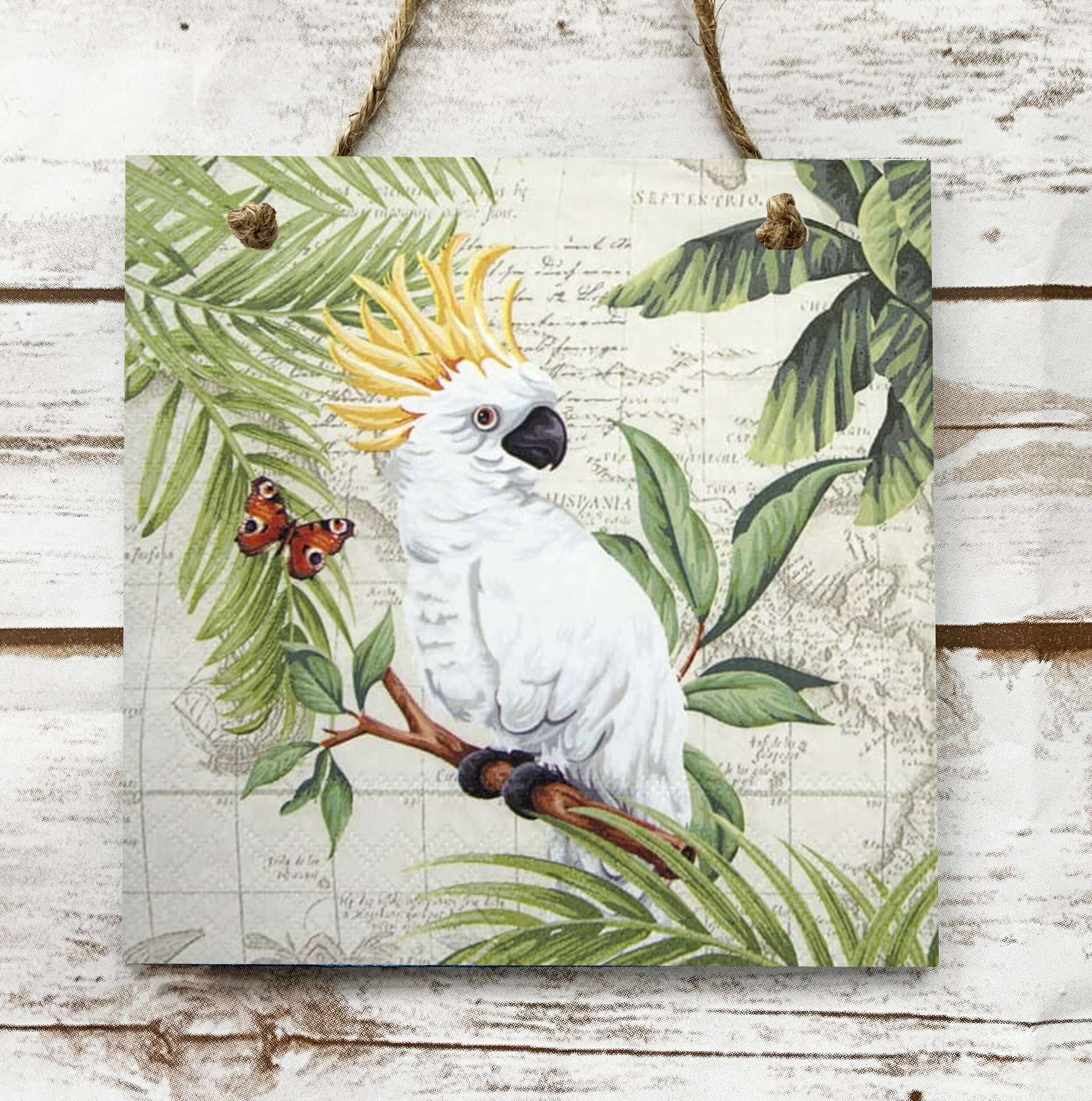 Wall Hanging Decoupage Plaque/picture Cockatoo Parrot Bird Pet Etsy UK