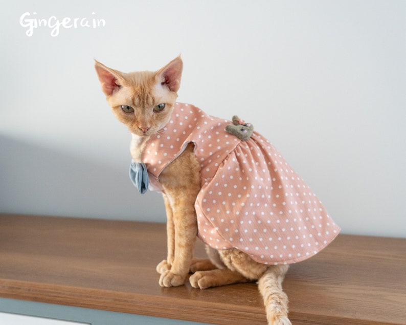 Gingerain Cute Sphynx Cat skirt Pet Clothing for Cat Fashion Etsy