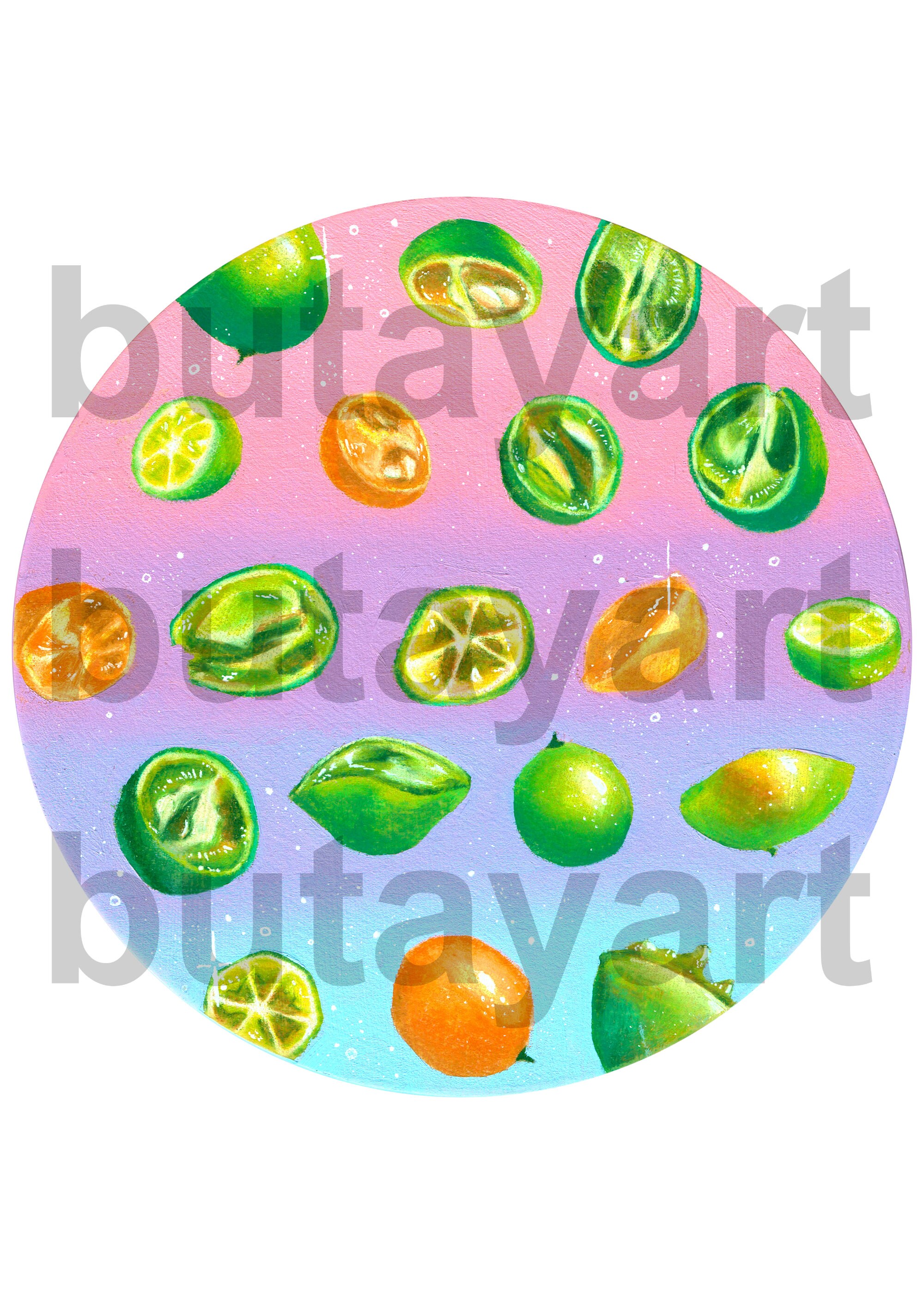 Calamansi Art Sticker Calamansi Fruit Painting Botanical Etsy UK