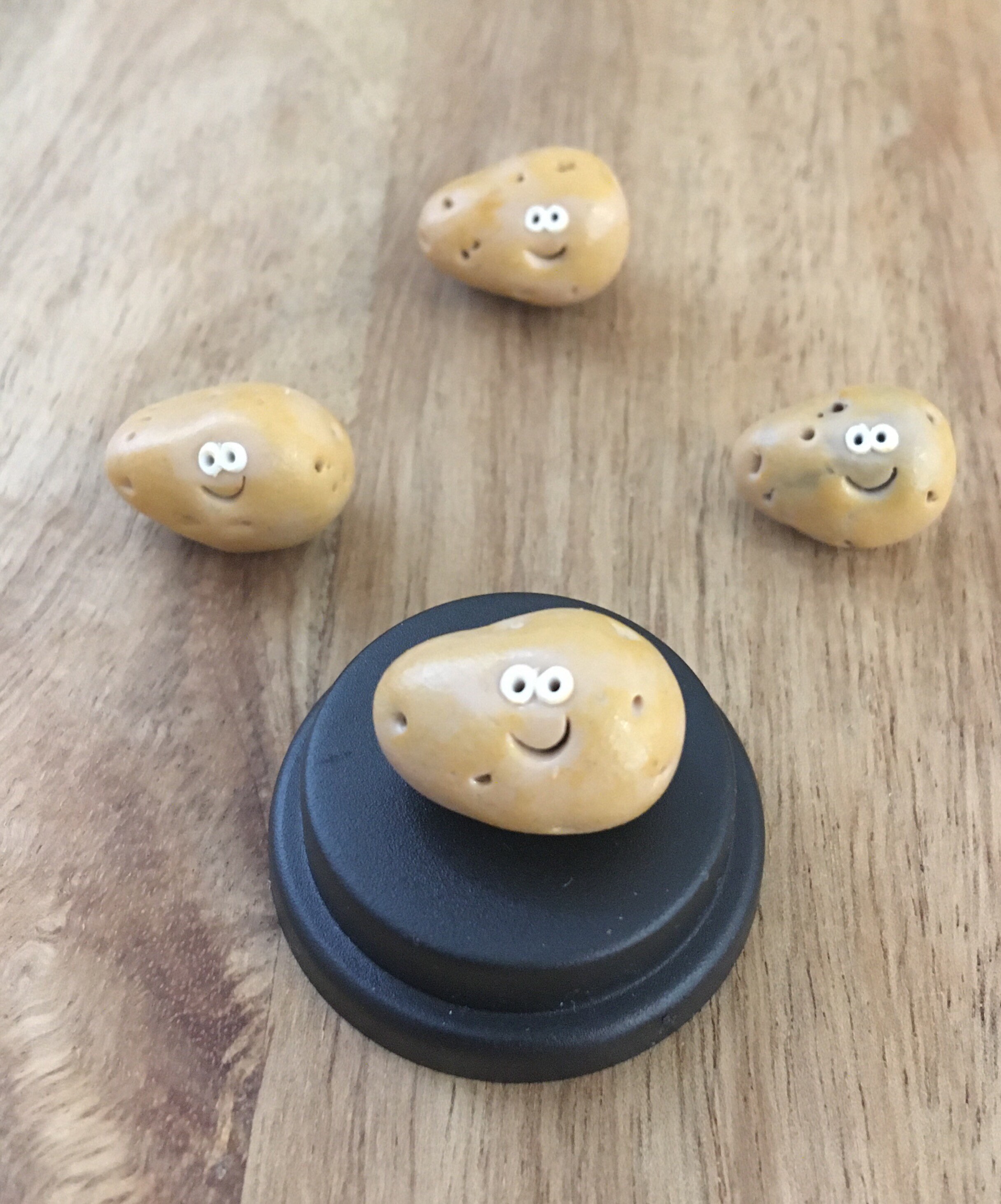 Pet Potato vegan gift wedding favour gift for mum gift for Etsy