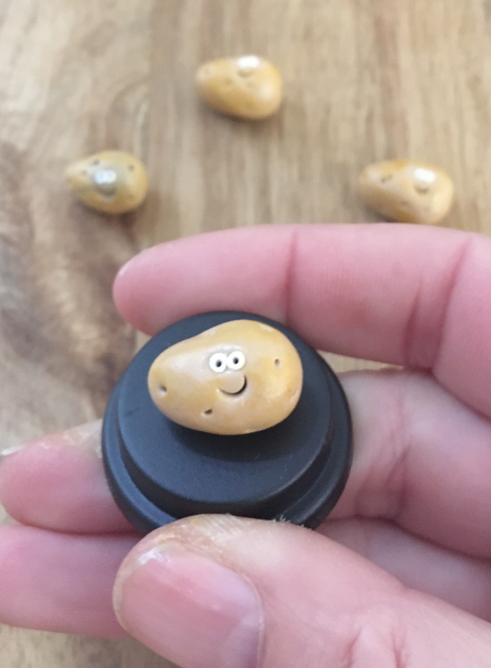 Pet Potato vegan gift wedding favour gift for mum gift for Etsy