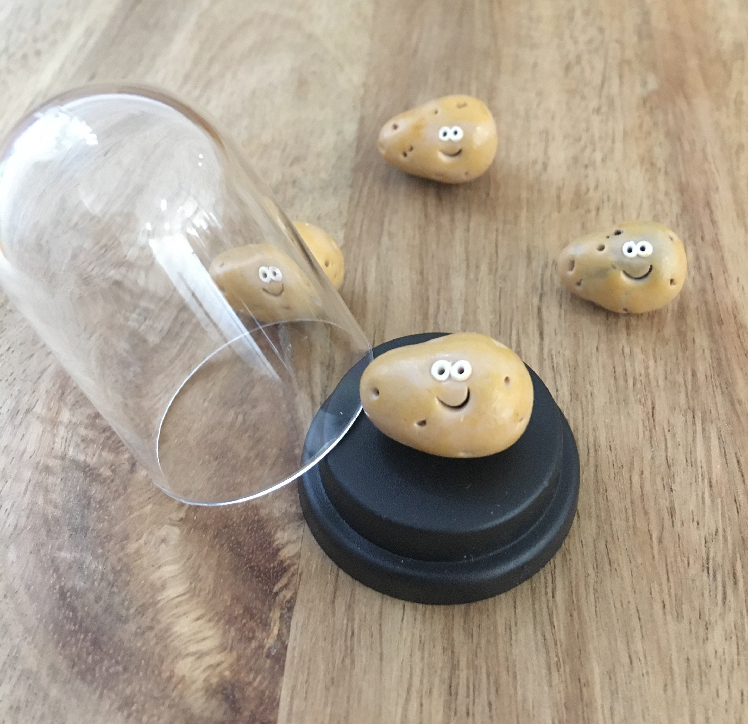 Pet Potato vegan gift wedding favour gift for mum gift for Etsy