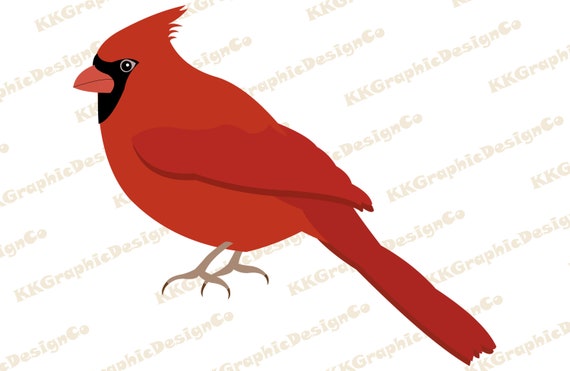 Cardinal Bird Svg Cardinal Svg Cardinal Silhouette Cardinal Etsy Cardinal Bird Svg Cardinal Svg Cardinal Silhouette Cardinal Etsy