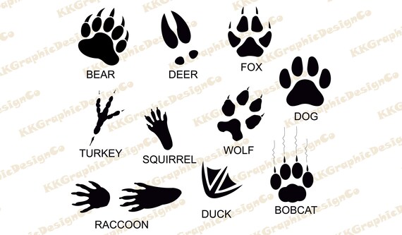 Download Animal Track Svg Animal Tracks Svg Wolf Track Footprints Svg Etsy
