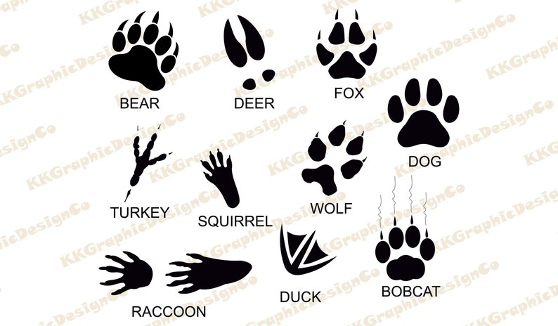 Download Animal track svg Animal tracks svg Wolf track Footprints ...