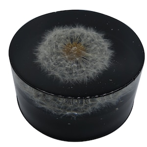 Decoration, round paperweight, dandelion, pw89