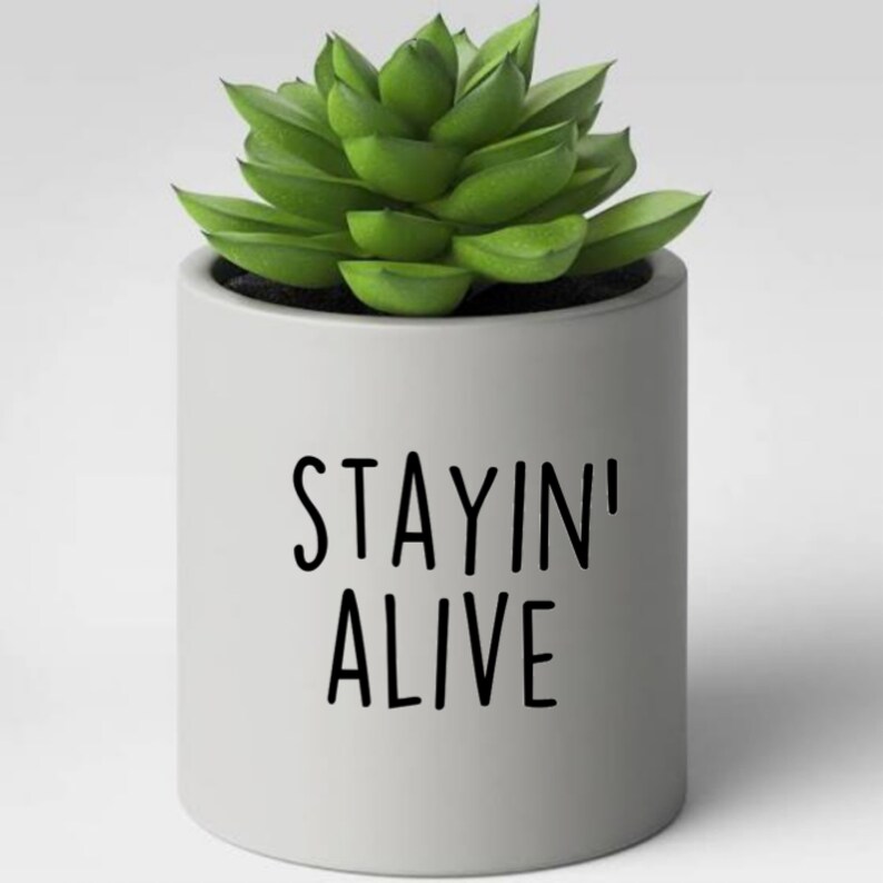 Plant Puns Plant Pot Decor Succulent Humor Plant Sayings | Etsy