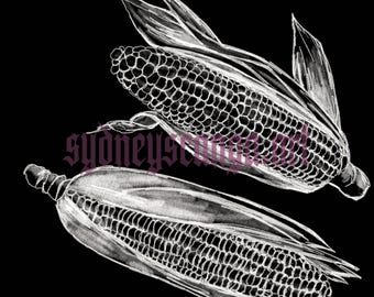 Maíz blanco dibujado a mano – Descarga digital PNG