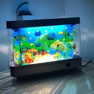 Led Lighting for Ornamental Schooling Fish: Enhance Vibrancy Instantly