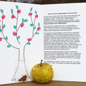 May include: A white card with a hand-drawn illustration of an apple tree with red apples and green leaves. The card has text explaining how to grow an apple tree from seed. The text includes instructions on how to cold-stratify the seeds and how to plant them. A small plastic bag with apple seeds is shown next to the tree. A yellow apple is shown in the bottom right corner of the card.