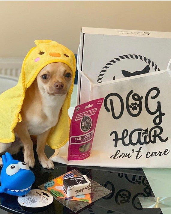 one time dog gift box