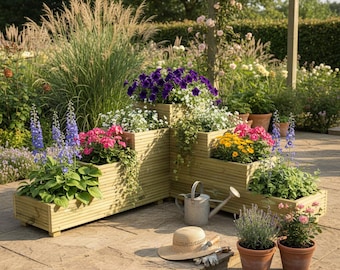 bonsai tree supplies near me BONSAI TREE REED DIFFUSER