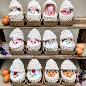 Gehäkeltes Huhn in Ei, Baby Huhn in der Schale, Kuscheltier, Geschenk für Huhnliebhaber, gehäkeltes Kuscheltier