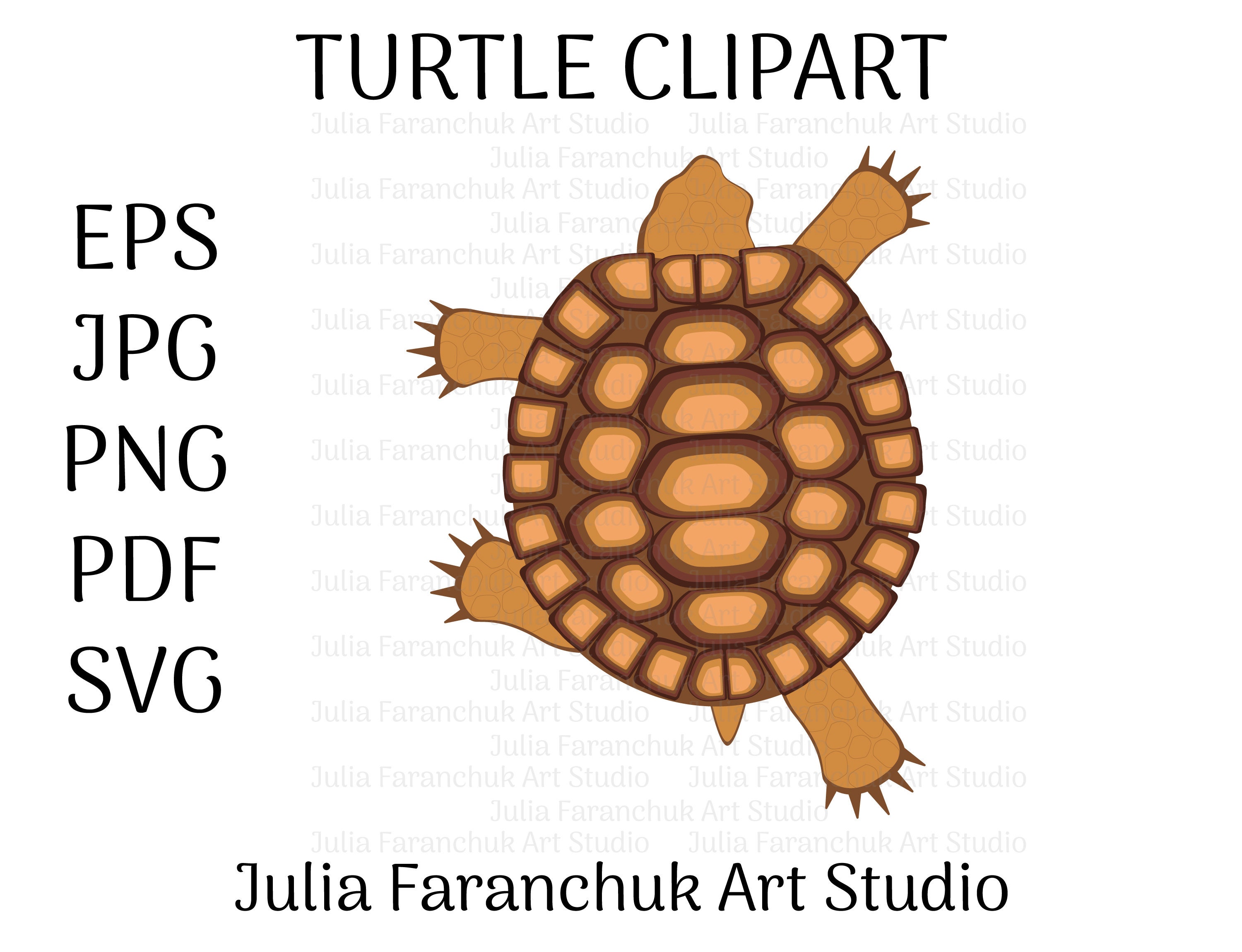 Download Turtle Svg Turtle Png Turtle Clipart Desert Animal Clipart Etsy