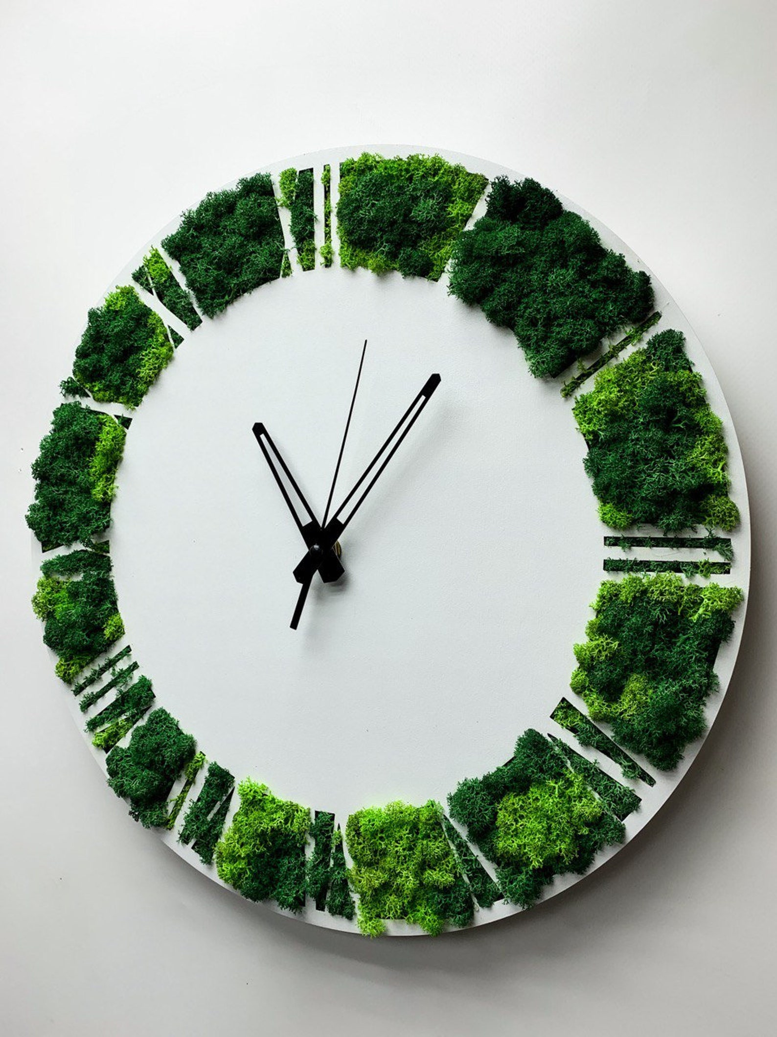 White Wooden Moss Wall Clock: Silent Botanical Decor - Etsy