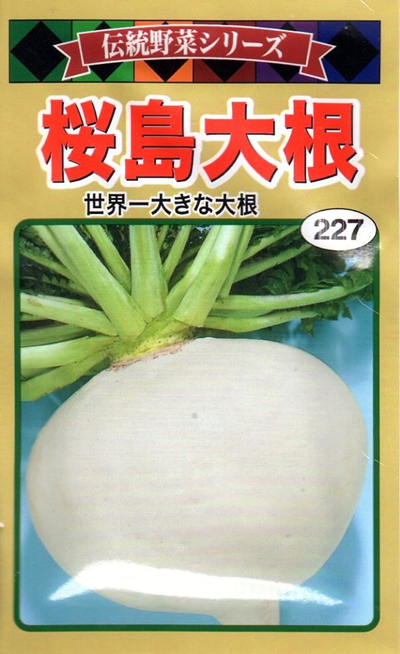 100 SAKURAJIMA Mammoth Daikon Radish seeds 鹿児島 櫻島大丸 recent volcano eruption image 2